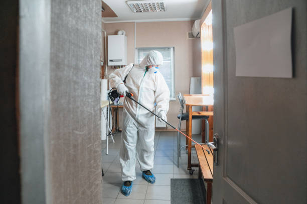 Best Environmental Consulting for Mold Prevention  in Henagar, AL