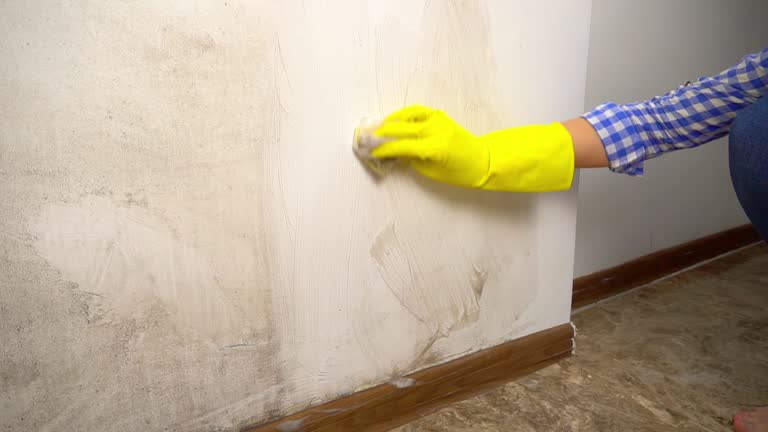 Best Emergency Mold Remediation  in Henagar, AL