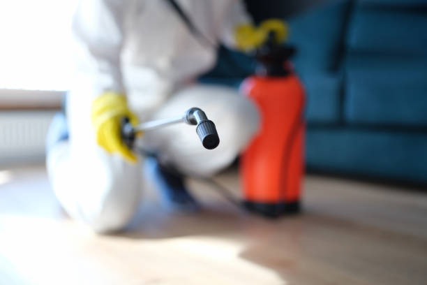 Best HVAC Mold Inspection and Cleaning  in Henagar, AL