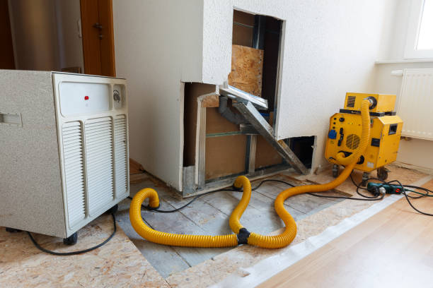 Best Air Quality Testing for Mold Spores  in Henagar, AL