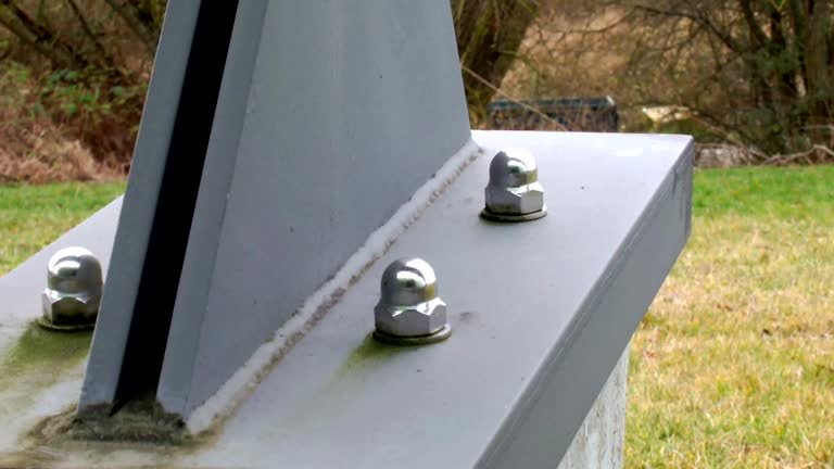 Best Industrial Mold Remediation  in Henagar, AL